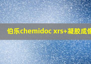 伯乐chemidoc xrs+凝胶成像仪